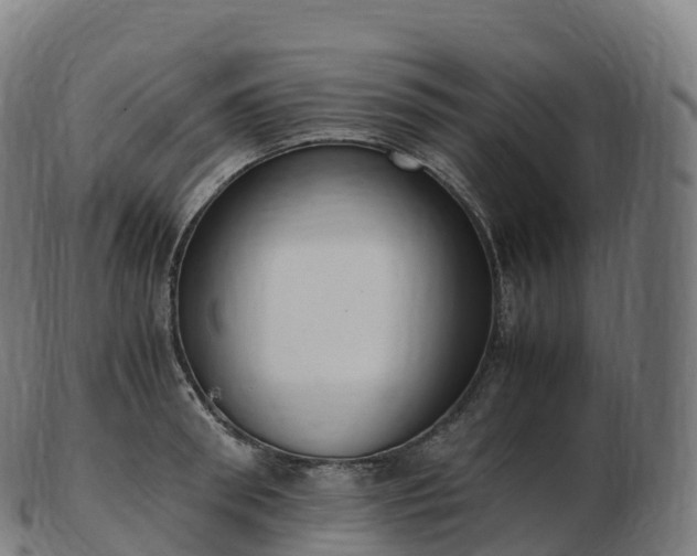 X0000103330898200809121207