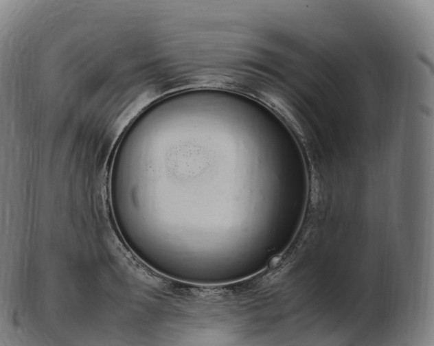 X0000103330899200809121207