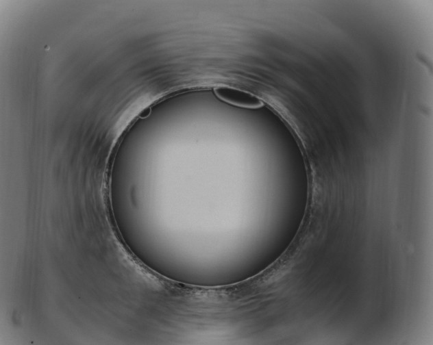 X0000103330901200809121207