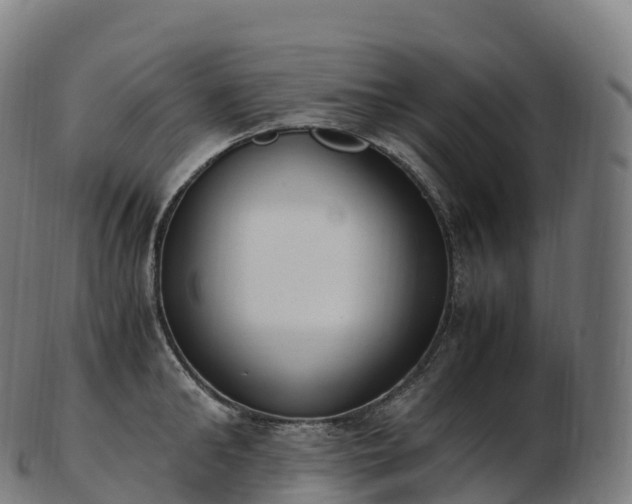 X0000103330902200809121207