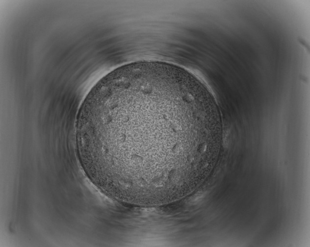 X0000103330903200809121207