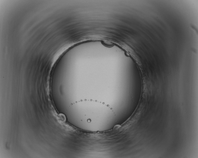 X0000103330904200809121207