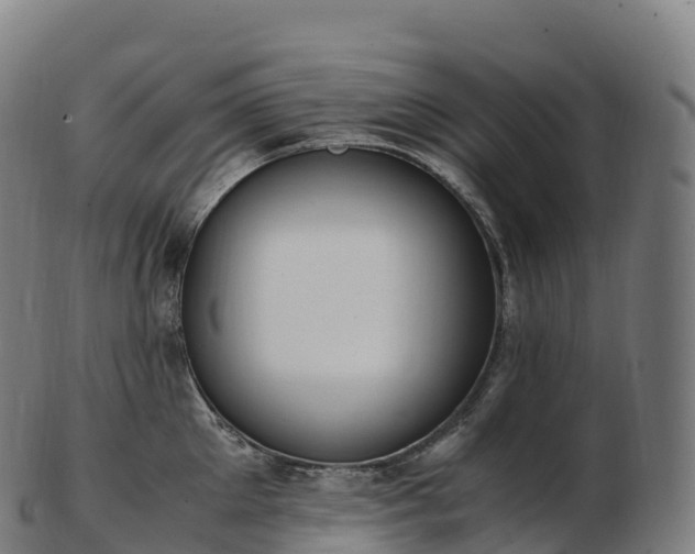 X0000103330905200809121207