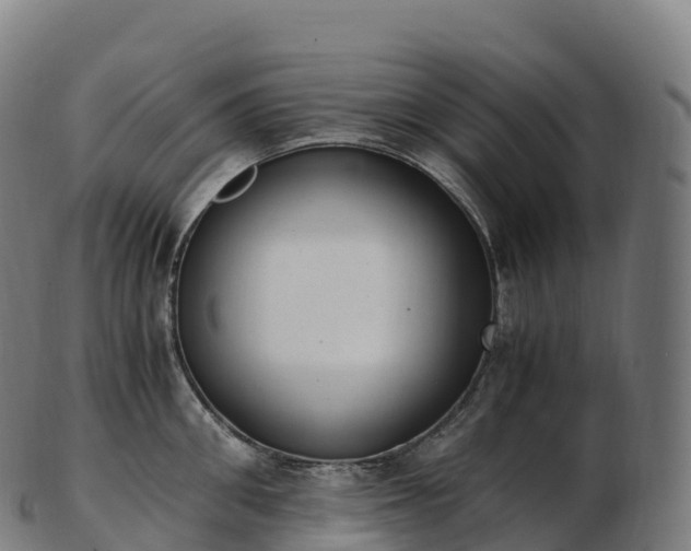 X0000103330906200809121207