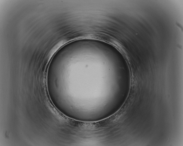 X0000103330907200809121207