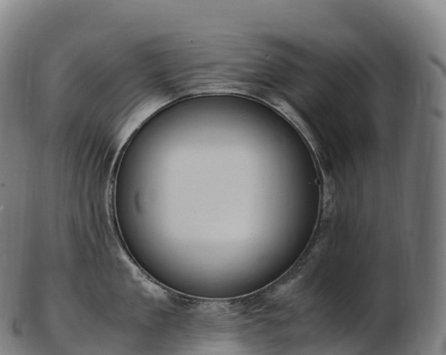 X0000103330909200809121207