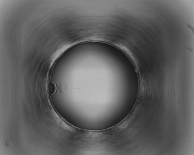 X0000103330910200809121207