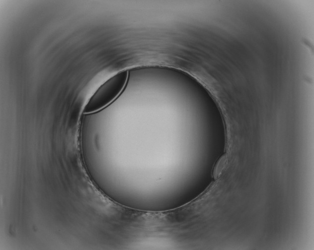 X0000103330912200809121207