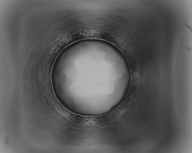 X0000103330913200809121206