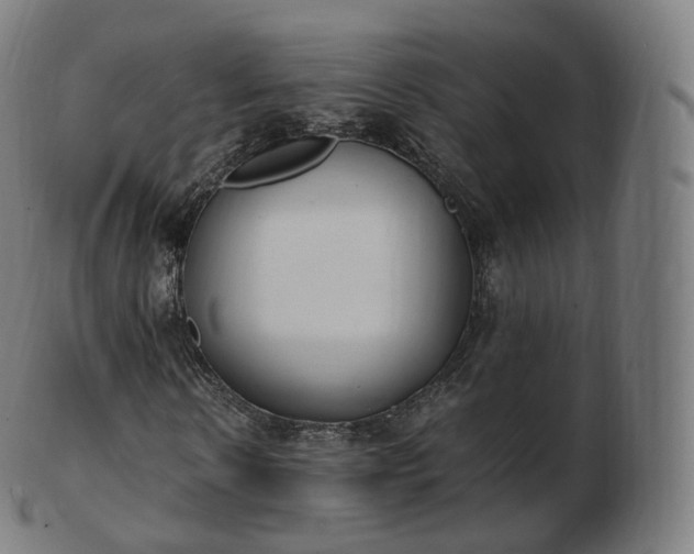 X0000103330914200809121206