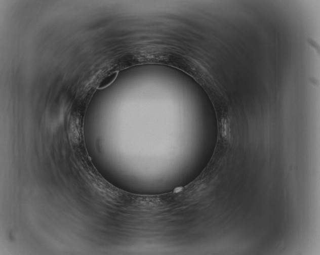 X0000103330915200809121206