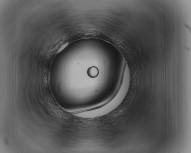 X0000103330916200809121206