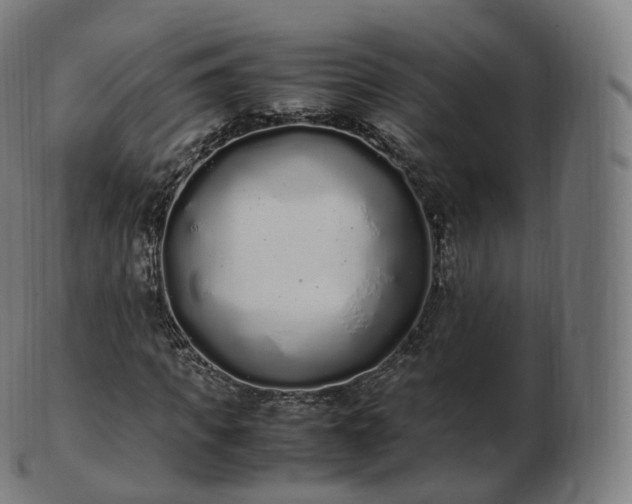 X0000103330917200809121206