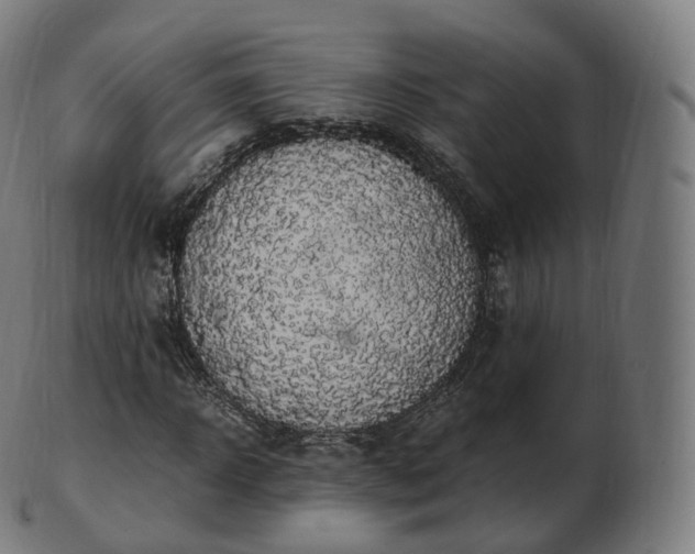 X0000103330918200809121207