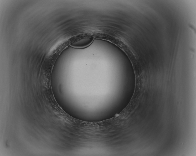 X0000103330919200809121207