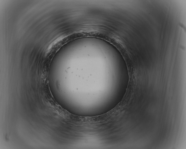 X0000103330920200809121207