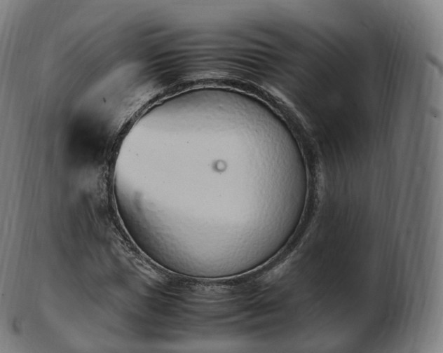 X0000103330921200809121207