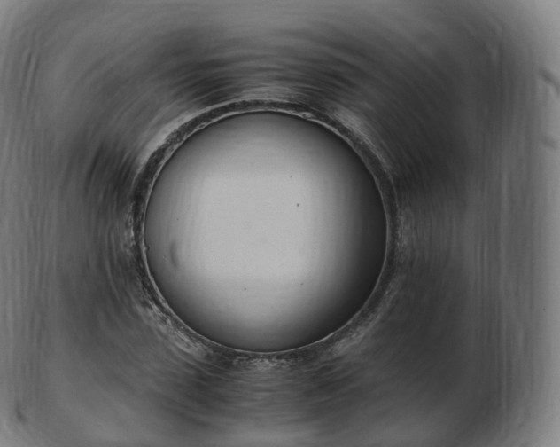 X0000103330923200809121207