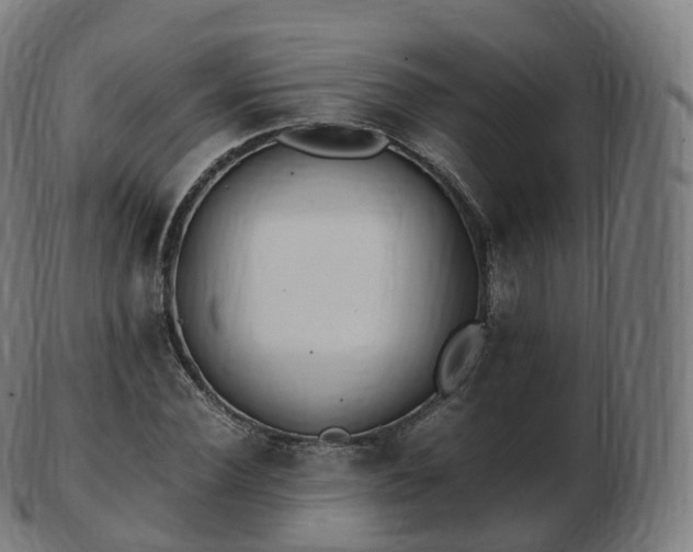 X0000103330924200809121207