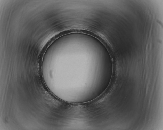 X0000103330926200809121207