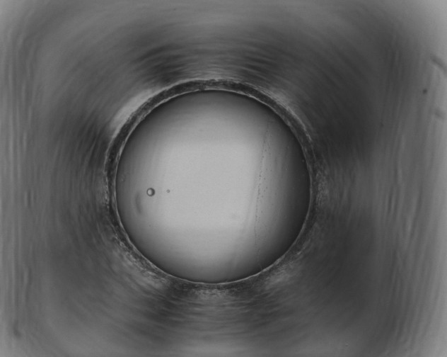 X0000103330927200809121207