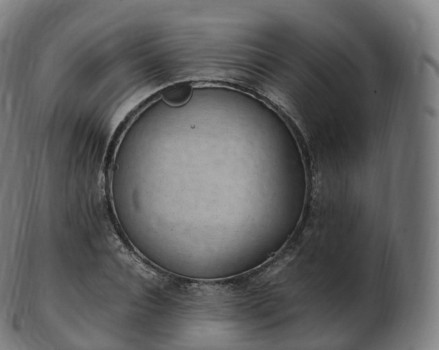 X0000103330928200809121207