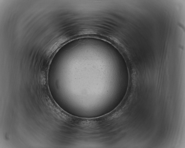 X0000103330929200809121207