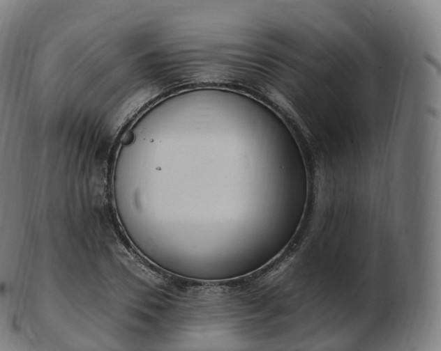 X0000103330930200809121207