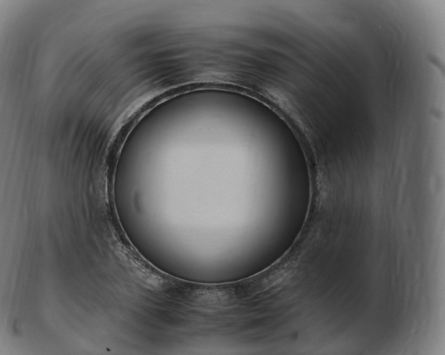 X0000103330931200809121207