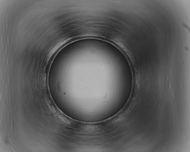 X0000103330933200809121207