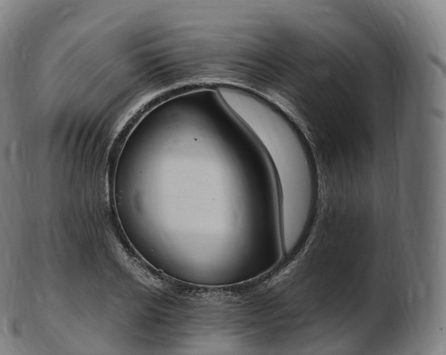 X0000103330934200809121207