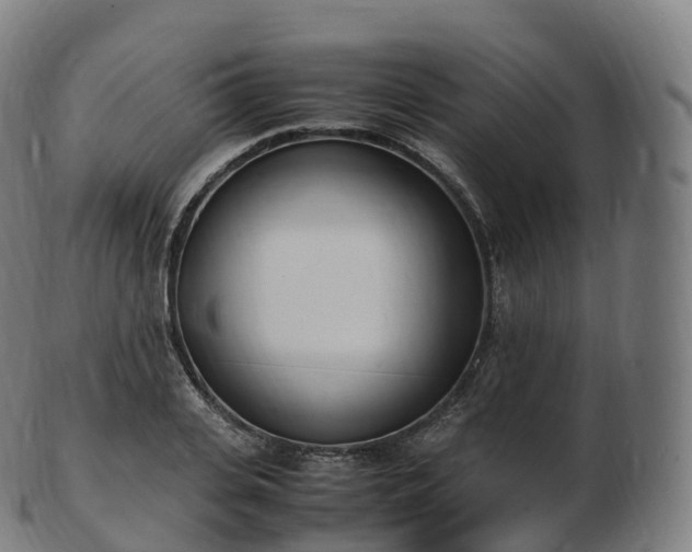 X0000103330935200809121207