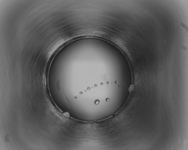 X0000103330936200809121207