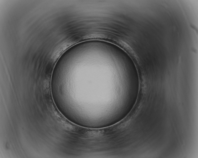 X0000103330937200809121207