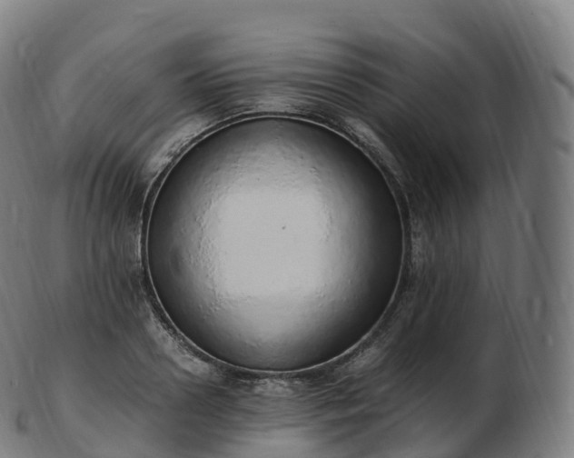 X0000103330938200809121207