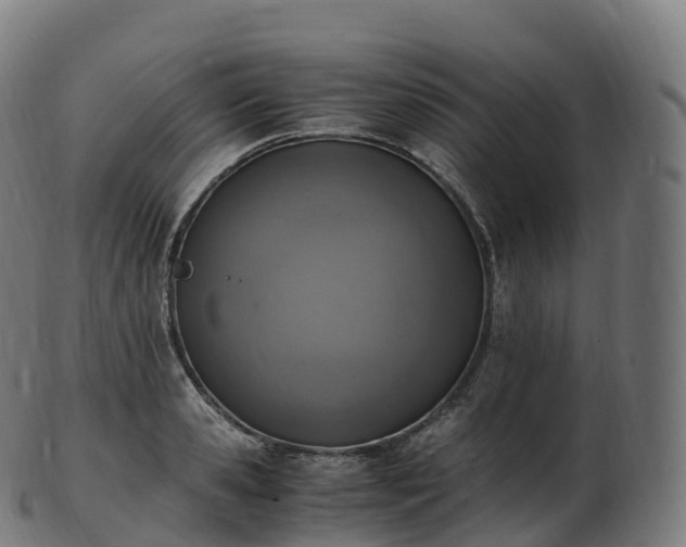 X0000103330941200809121207