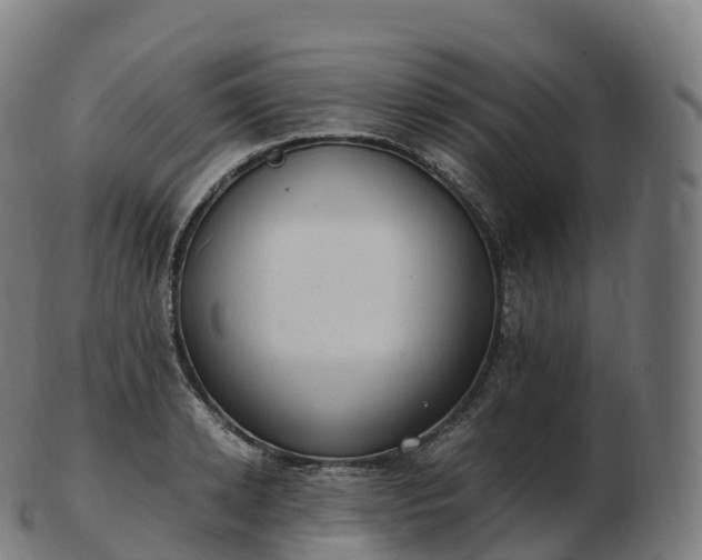 X0000103330942200809121207