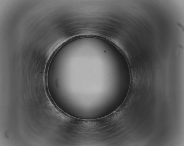 X0000103330943200809121207