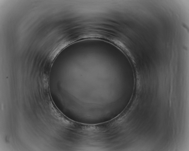 X0000103330945200809121207