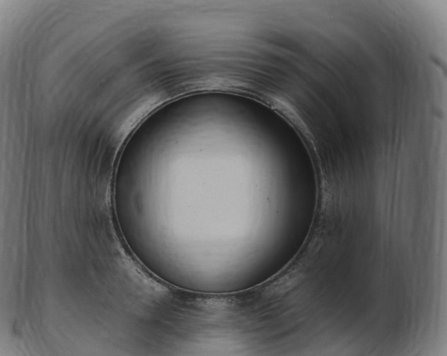 X0000103330946200809121207