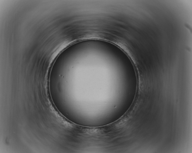 X0000103330949200809121207