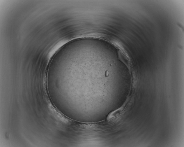 X0000103330952200809121207