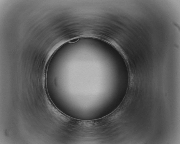 X0000103330955200809121207