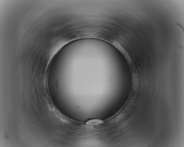 X0000103330956200809121207