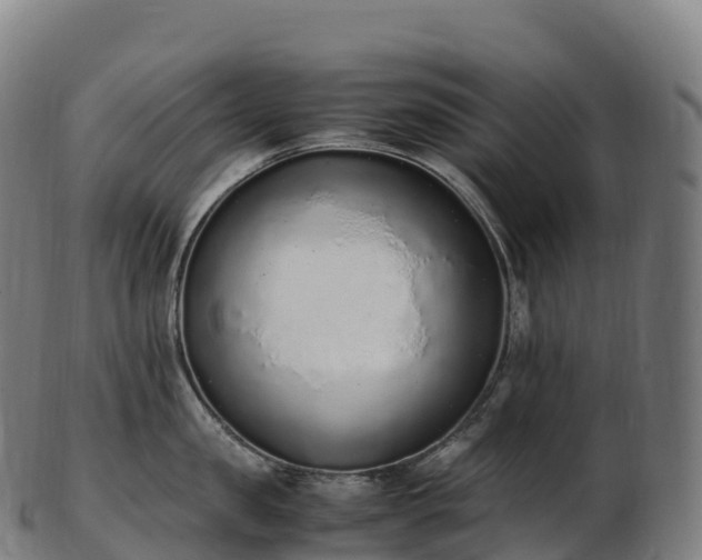 X0000103330957200809121207