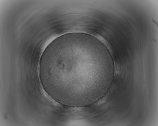 X0000103330958200809121207