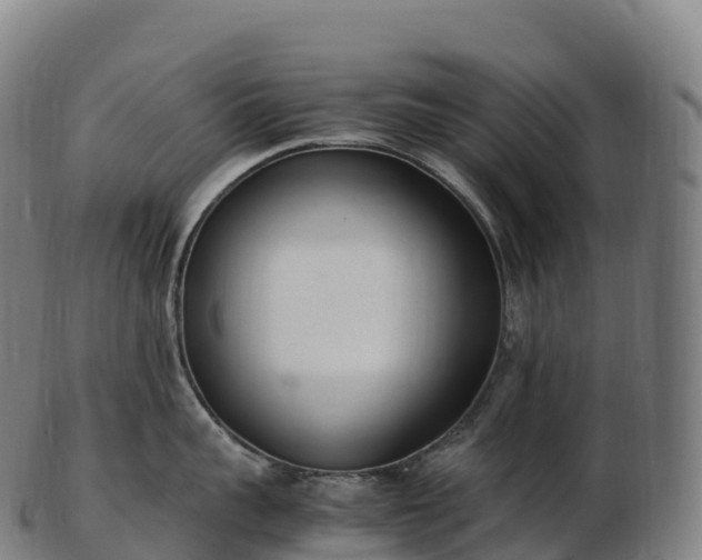 X0000103330959200809121207