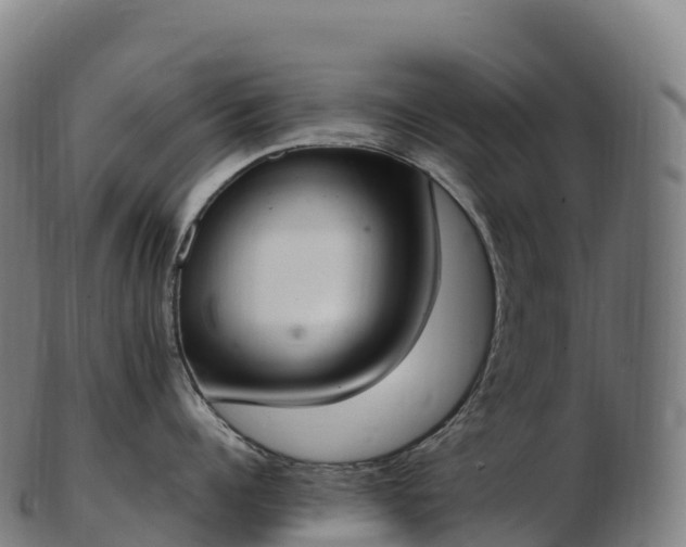 X0000103330960200809121207