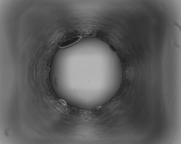 X0000103330961200809121206