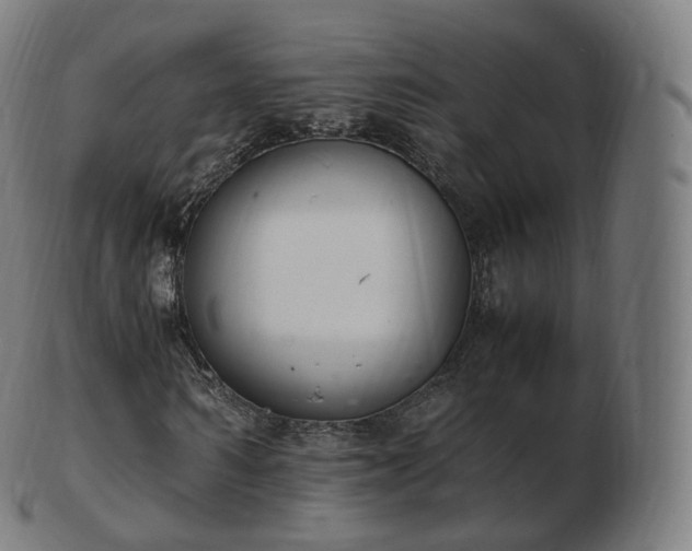 X0000103330962200809121206